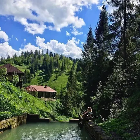 Guest house лісова казка *